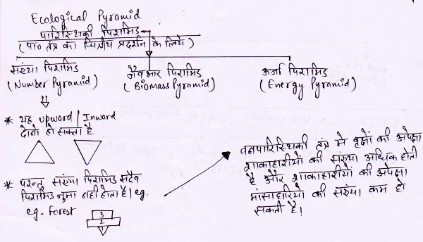 http://www.iasplanner.com/civilservices/images/ecological-pyramid.jpg